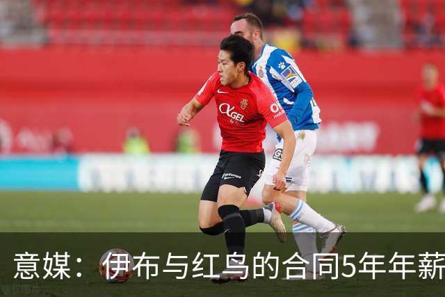 意媒：伊布与红鸟的合同5年年薪100万欧，职责除了竞技还涉及商业